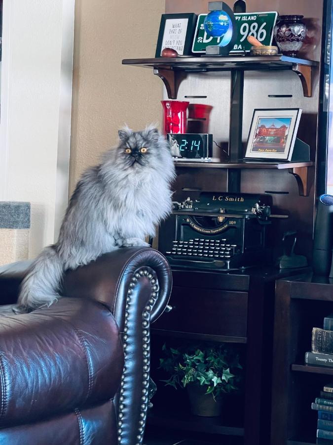 Ruskin Fl Private 2 Bdrm 1 Bath Suite Common Areas Shared With Host And Cat Eksteriør billede