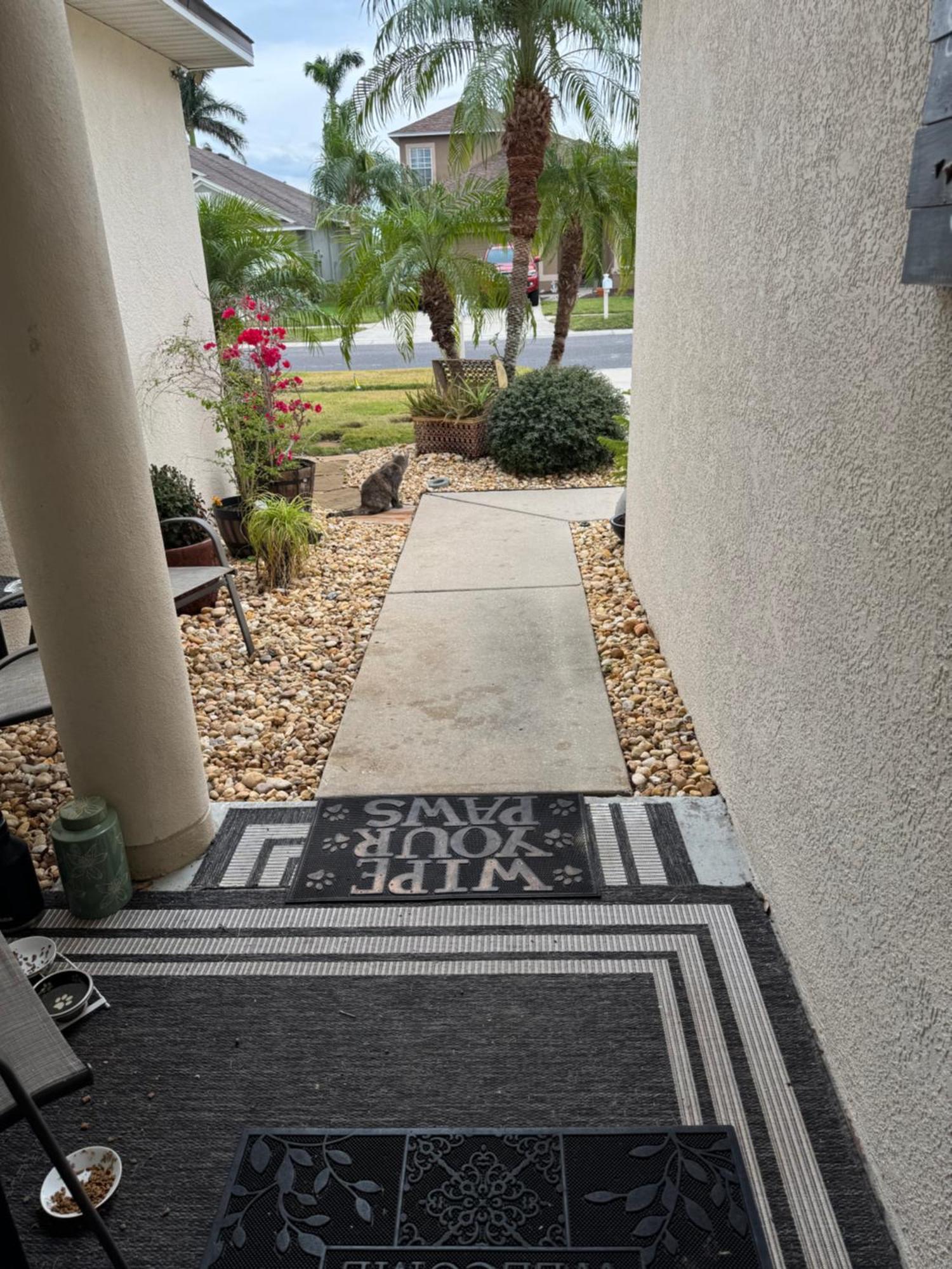Ruskin Fl Private 2 Bdrm 1 Bath Suite Common Areas Shared With Host And Cat Eksteriør billede