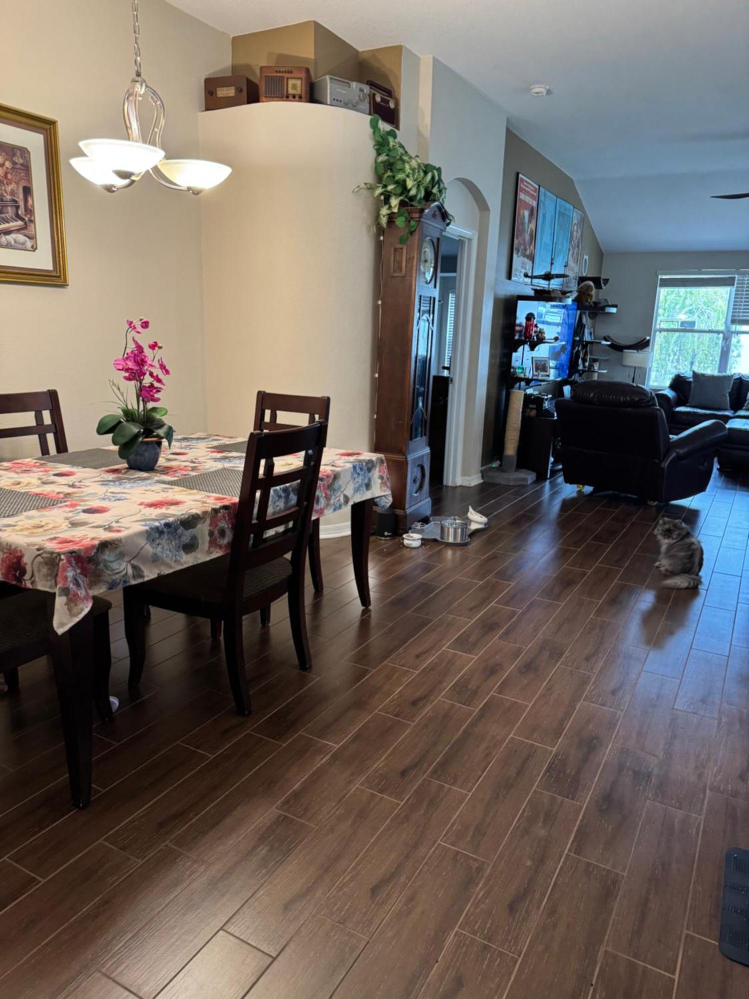 Ruskin Fl Private 2 Bdrm 1 Bath Suite Common Areas Shared With Host And Cat Eksteriør billede