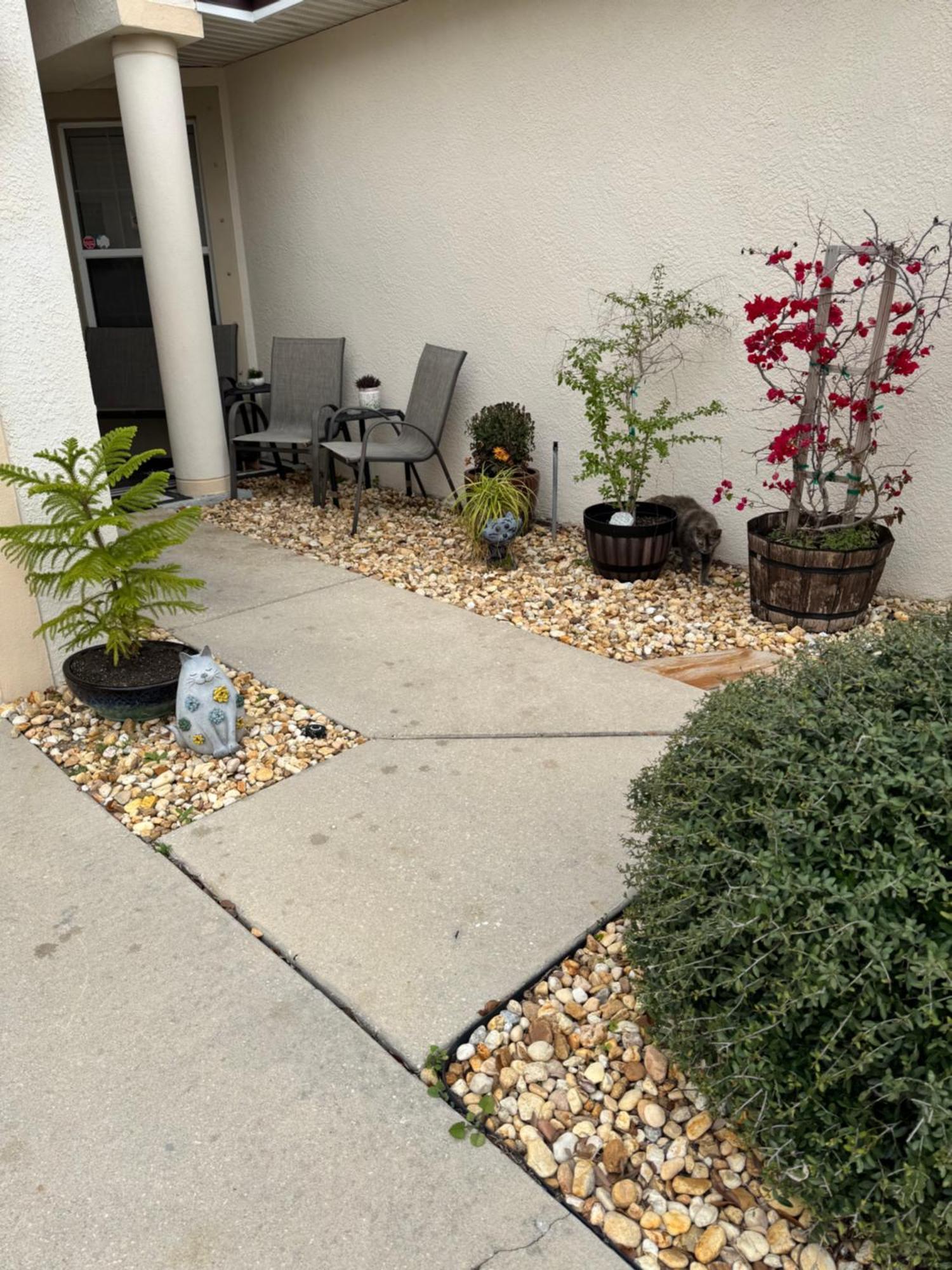 Ruskin Fl Private 2 Bdrm 1 Bath Suite Common Areas Shared With Host And Cat Eksteriør billede